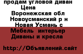 продам угловой диван › Цена ­ 20 000 - Воронежская обл., Новоусманский р-н, Новая Усмань с. Мебель, интерьер » Диваны и кресла   